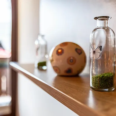 - Elisabeth Apartment Radstadt